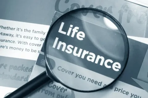 Life Insurance in the USA Khass Ara Jaffar 2025